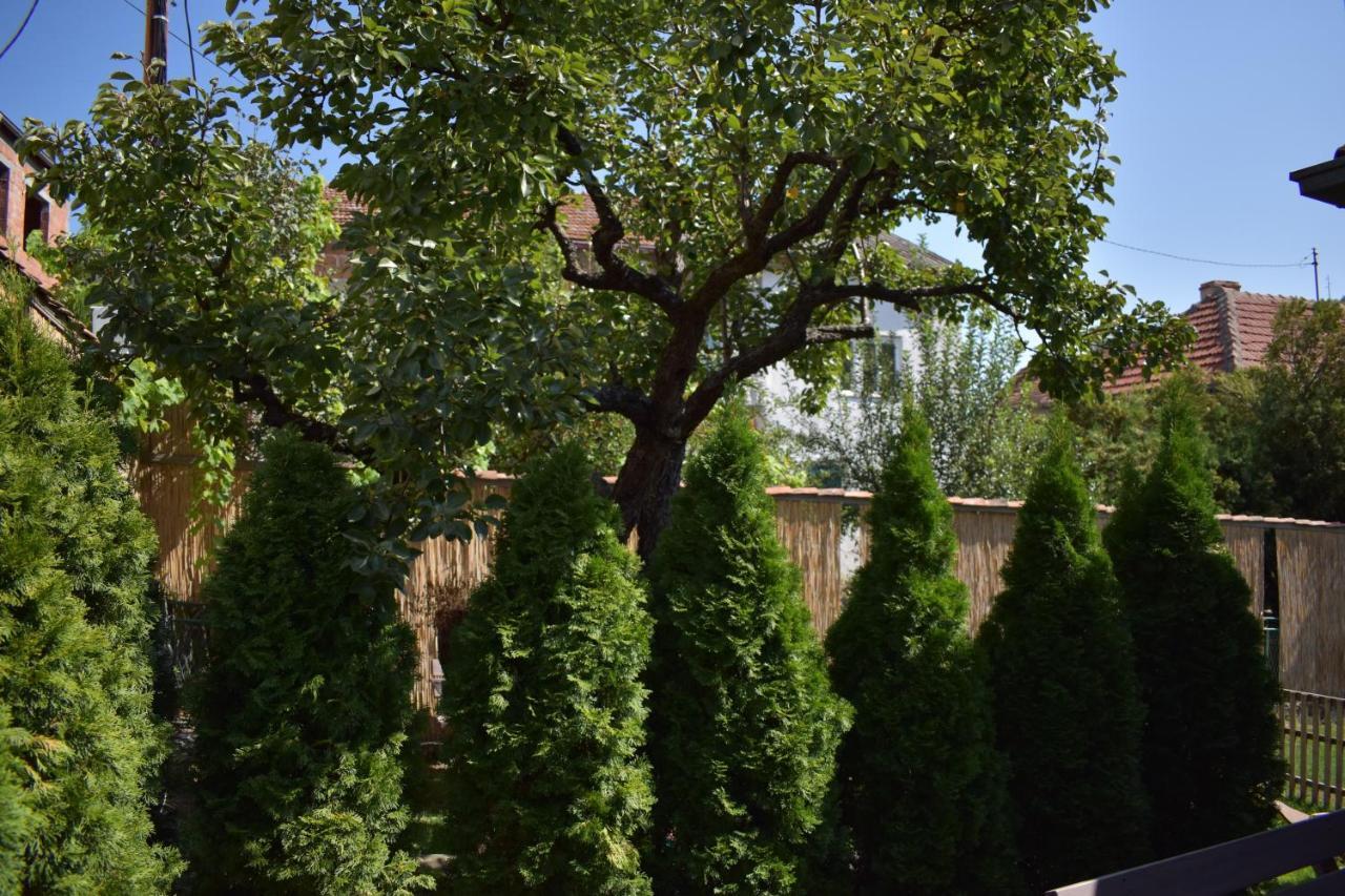 Konak Garavi Sokak Kursumlija Exteriér fotografie